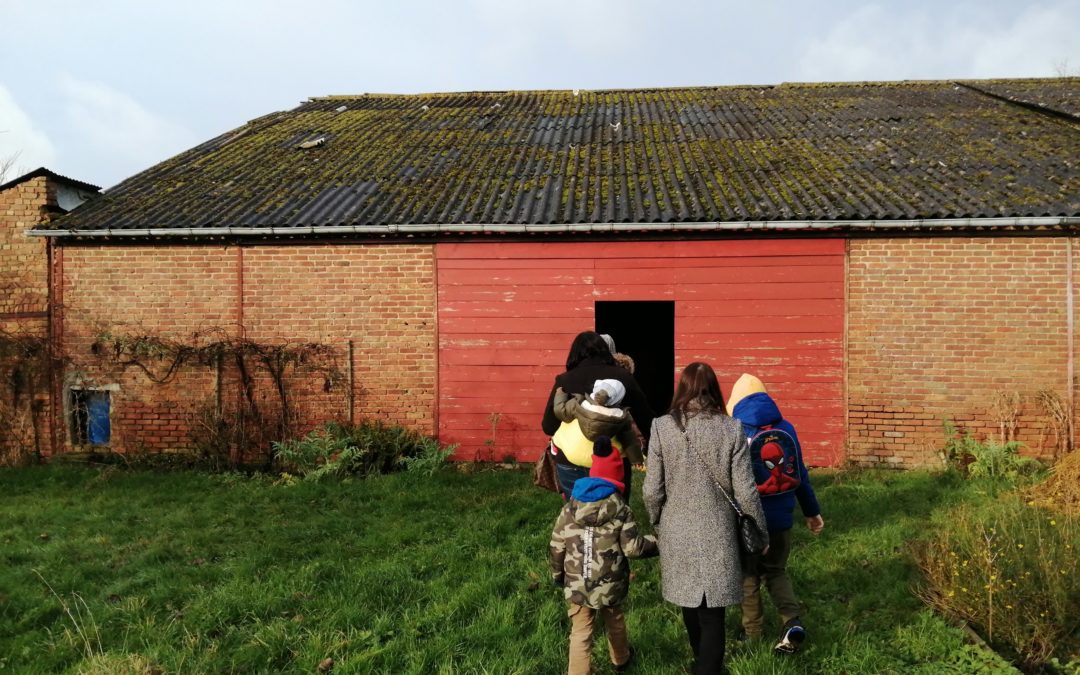 Un bel après midi à la ferme aux paons