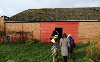 Un bel après midi à la ferme aux paons