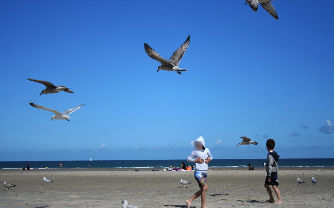 Une journée au bord de la mer